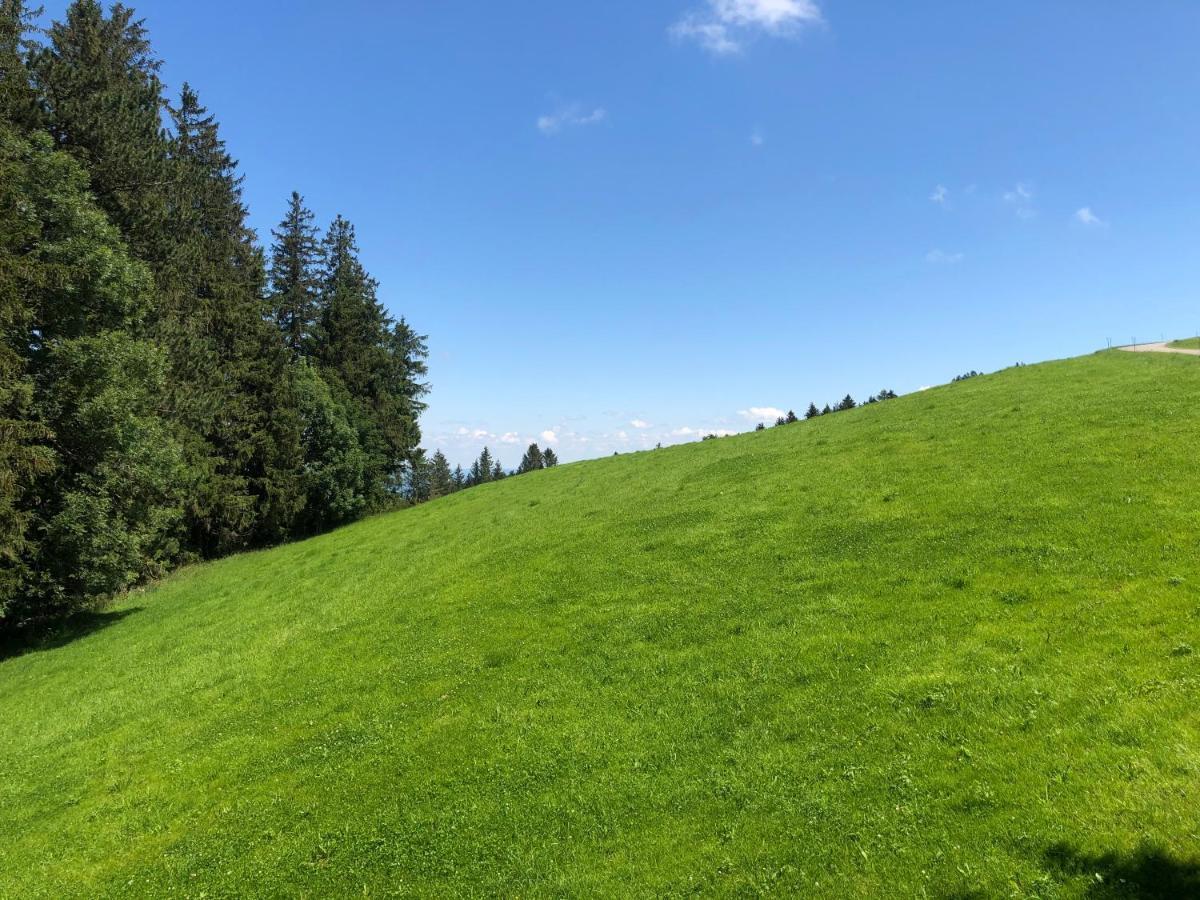 Hirschen Wald - Gasthaus & Baeckerei Zewnętrze zdjęcie