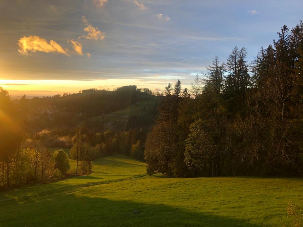 Hirschen Wald - Gasthaus & Baeckerei Zewnętrze zdjęcie