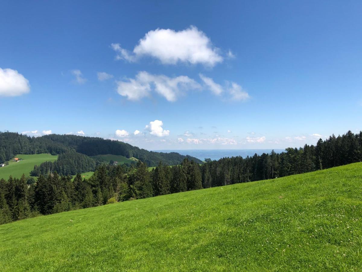 Hirschen Wald - Gasthaus & Baeckerei Zewnętrze zdjęcie