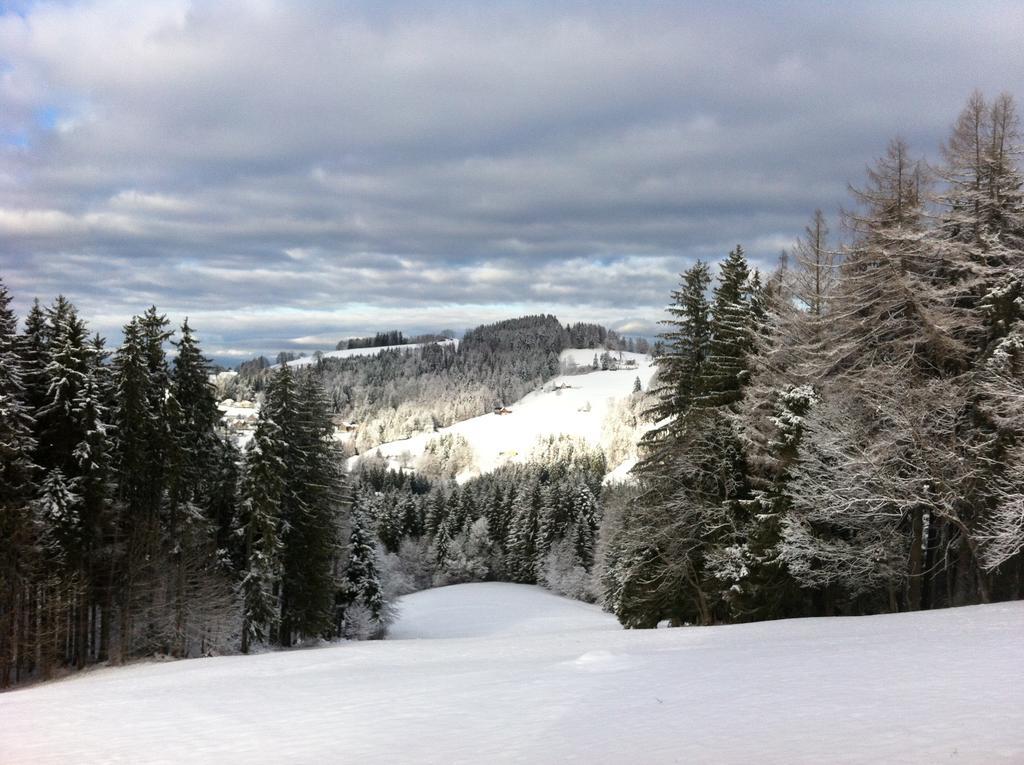 Hirschen Wald - Gasthaus & Baeckerei Zewnętrze zdjęcie