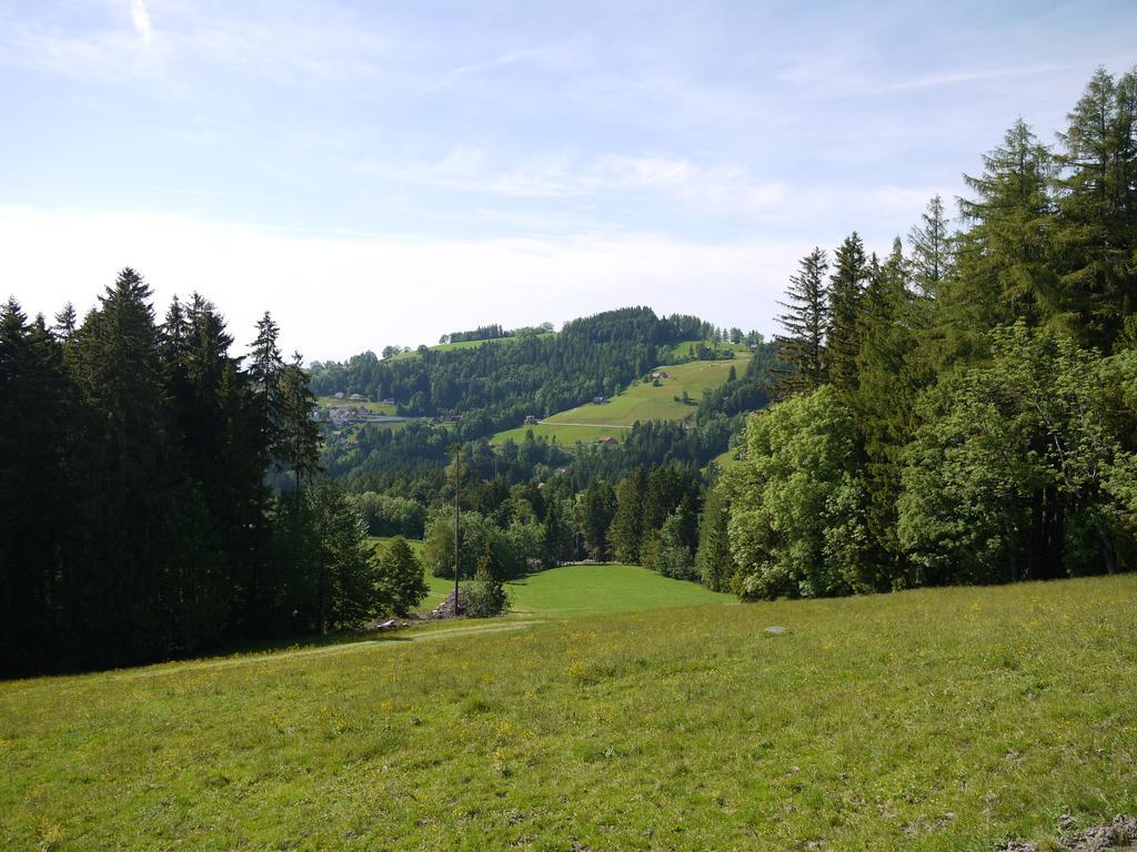 Hirschen Wald - Gasthaus & Baeckerei Zewnętrze zdjęcie