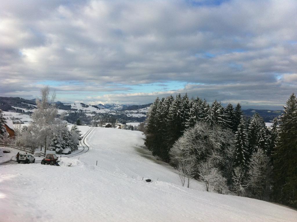 Hirschen Wald - Gasthaus & Baeckerei Zewnętrze zdjęcie